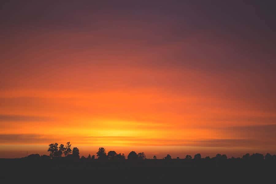 Dusk